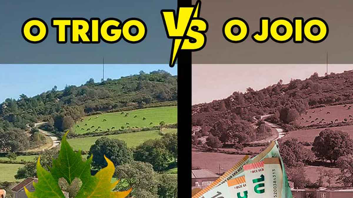 O Trigo e o Joio: A Ameaça Mineira na Região do Barroso