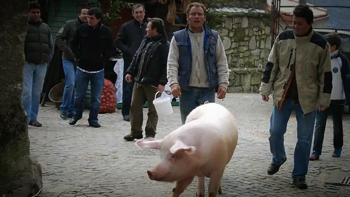 Matança do porco