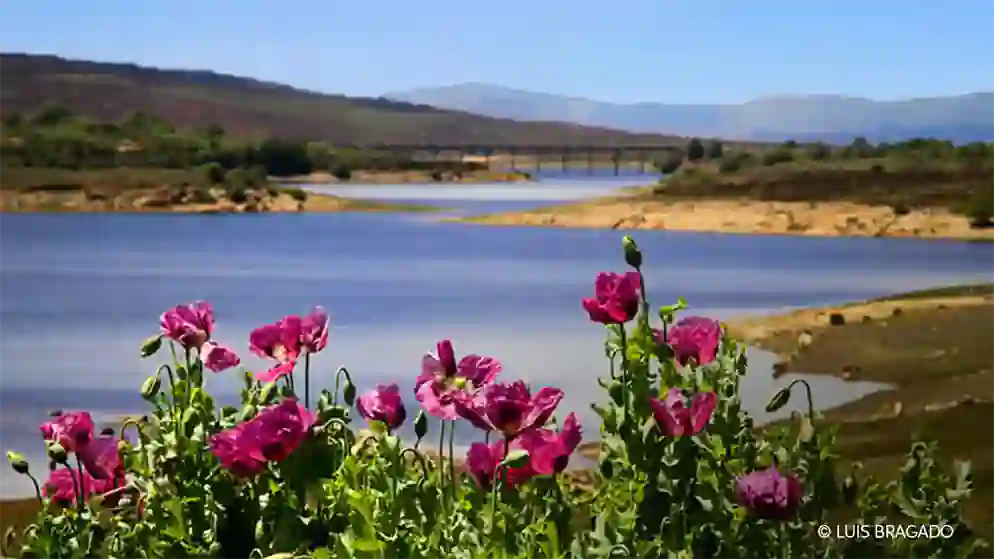 Rotas de água no Barroso. Rio Salas Tourém, Montalegre